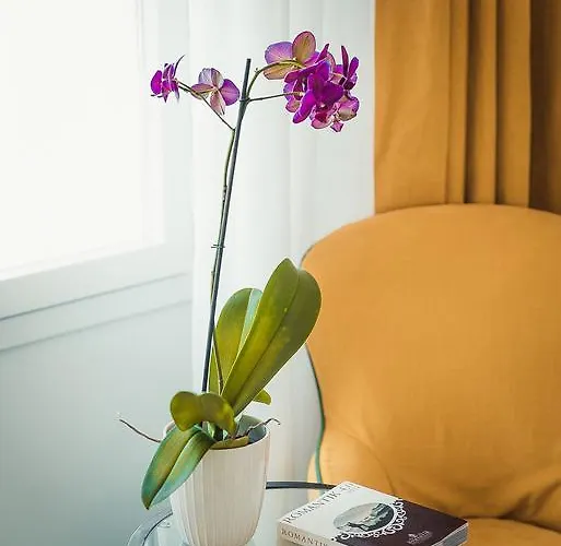 Eliana Отель Сорренто