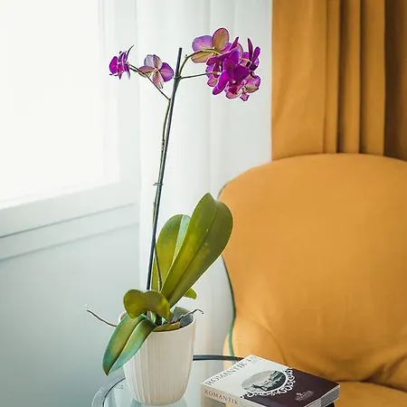Eliana Hotel Sorrent