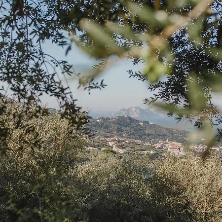 Eliana Hotel Sorrent
